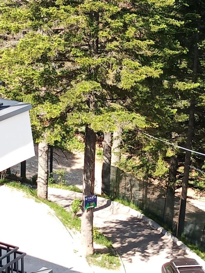 Apartman Bijela Bjelašnica Exterior foto